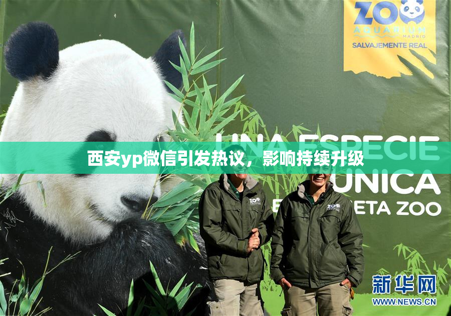 西安yp微信引发热议，影响持续升级