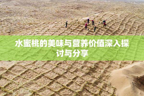 水蜜桃的美味与营养价值深入探讨与分享