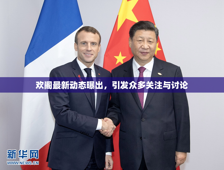 欢阁最新动态曝出，引发众多关注与讨论