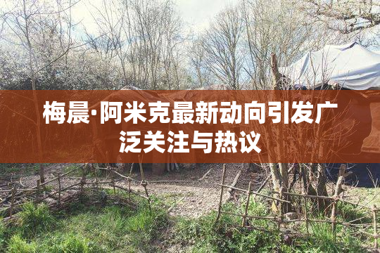 梅晨·阿米克最新动向引发广泛关注与热议