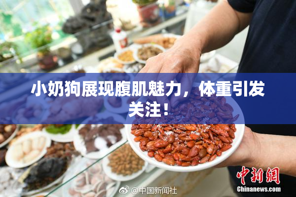 小奶狗展现腹肌魅力，体重引发关注！