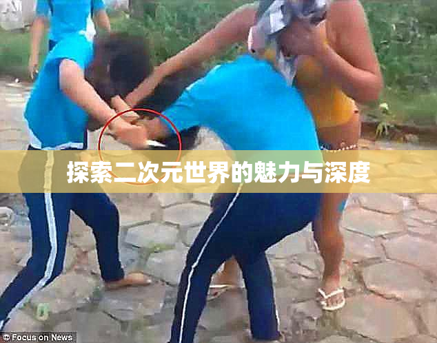 探索二次元世界的魅力与深度