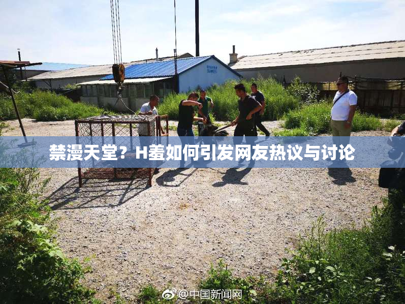 禁漫天堂？H羞如何引发网友热议与讨论