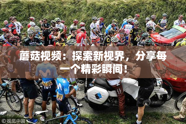 蘑菇视频：探索新视界，分享每一个精彩瞬间！