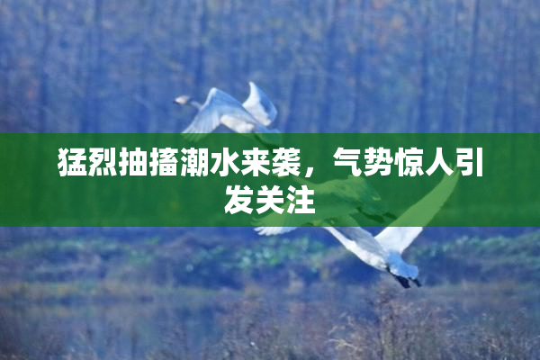 猛烈抽搐潮水来袭，气势惊人引发关注