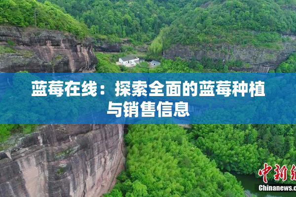 蓝莓在线：探索全面的蓝莓种植与销售信息