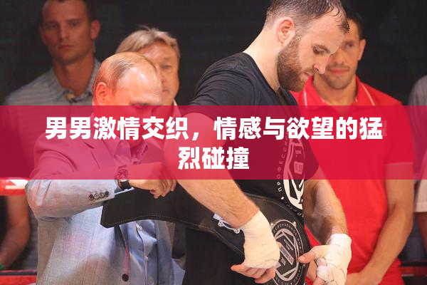 男男激情交织，情感与欲望的猛烈碰撞