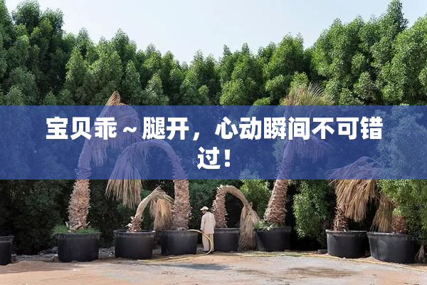 宝贝乖～腿开，心动瞬间不可错过！