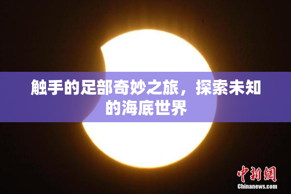 触手的足部奇妙之旅，探索未知的海底世界