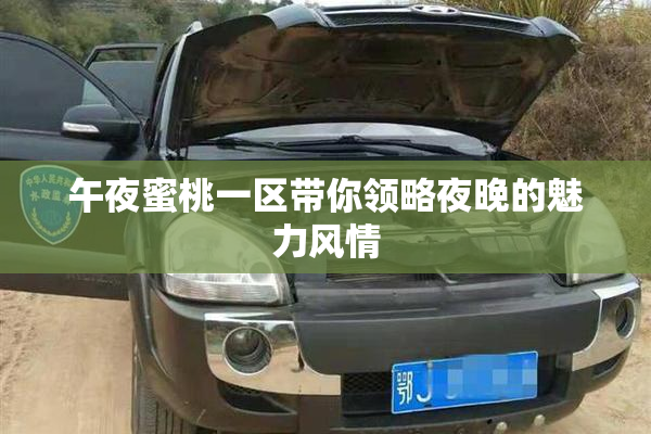 午夜蜜桃一区带你领略夜晚的魅力风情