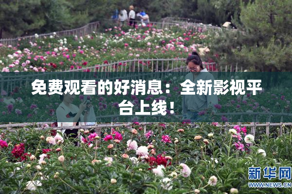 免费观看的好消息：全新影视平台上线！