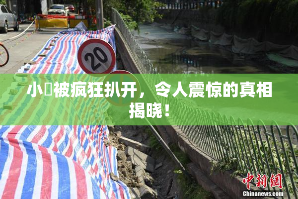 小泬被疯狂扒开，令人震惊的真相揭晓！