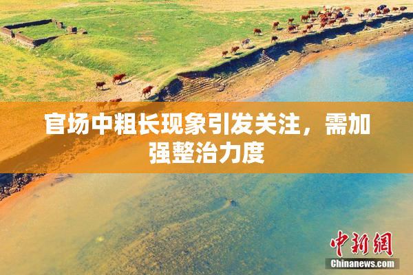 官场中粗长现象引发关注，需加强整治力度