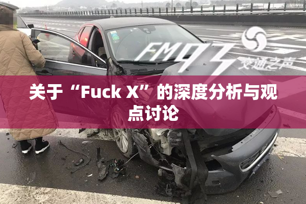 关于“Fuck X”的深度分析与观点讨论