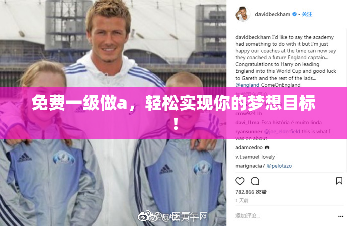 免费一级做a，轻松实现你的梦想目标！
