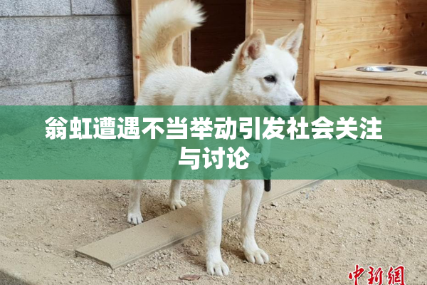 翁虹遭遇不当举动引发社会关注与讨论