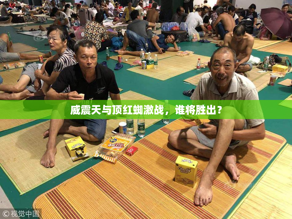 威震天与顶红蜘激战，谁将胜出？