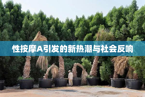 性按摩A引发的新热潮与社会反响