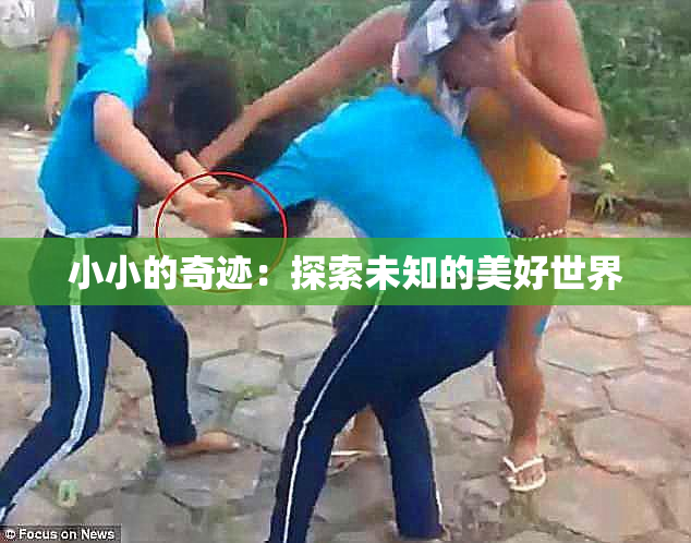 小小的奇迹：探索未知的美好世界