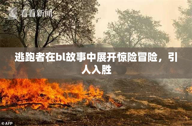 逃跑者在bl故事中展开惊险冒险，引人入胜
