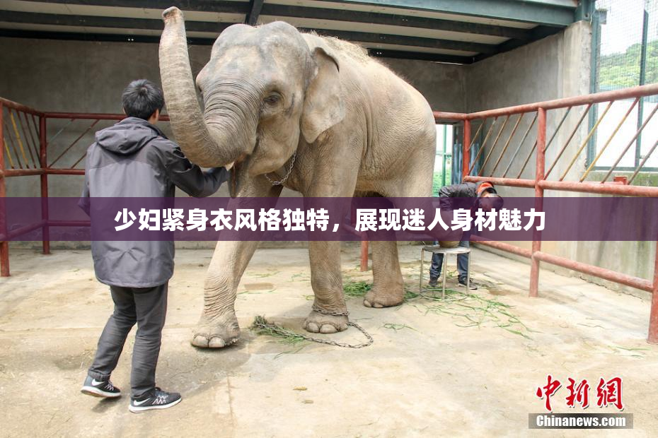少妇紧身衣风格独特，展现迷人身材魅力