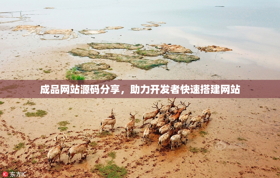 成品网站源码分享，助力开发者快速搭建网站