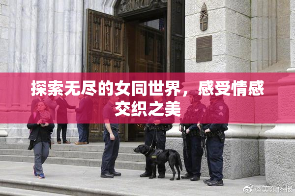 探索无尽的女同世界，感受情感交织之美
