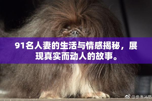 91名人妻的生活与情感揭秘，展现真实而动人的故事。