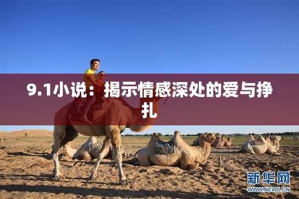 9.1小说：揭示情感深处的爱与挣扎