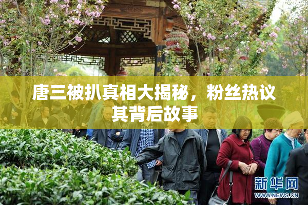 唐三被扒真相大揭秘，粉丝热议其背后故事
