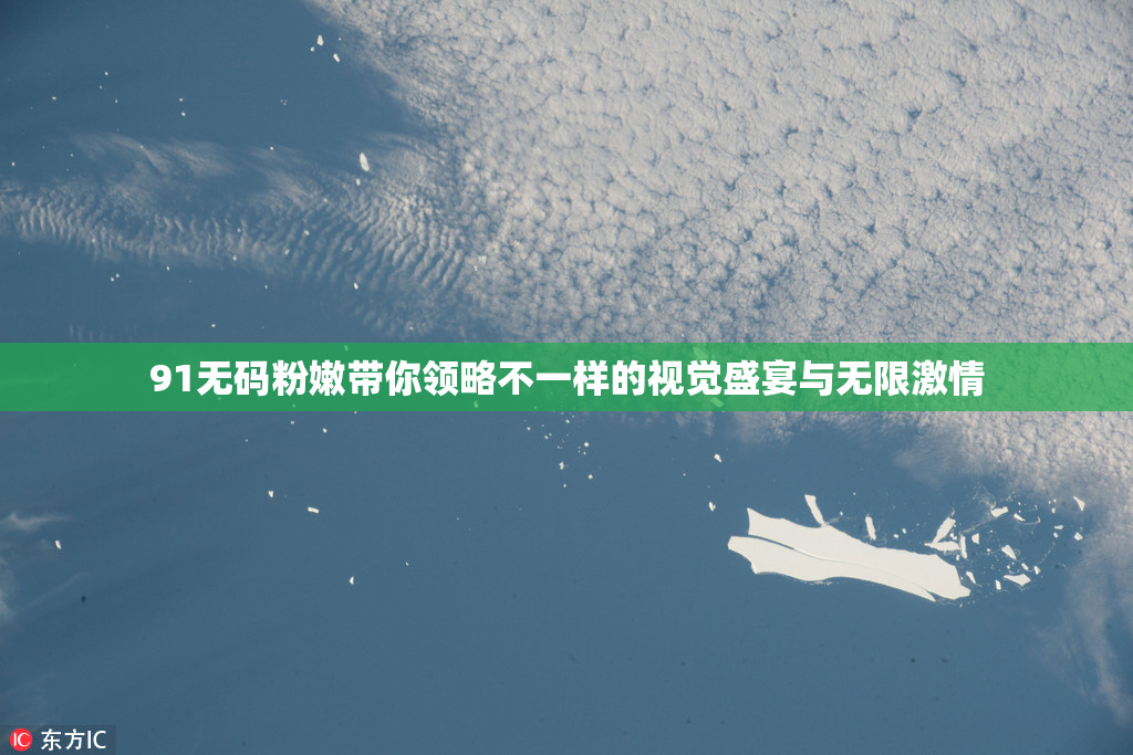91无码粉嫩带你领略不一样的视觉盛宴与无限激情