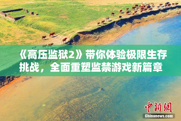 《高压监狱2》带你体验极限生存挑战，全面重塑监禁游戏新篇章！
