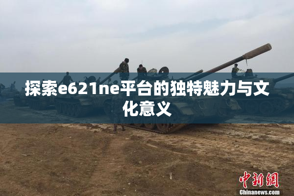 探索e621ne平台的独特魅力与文化意义