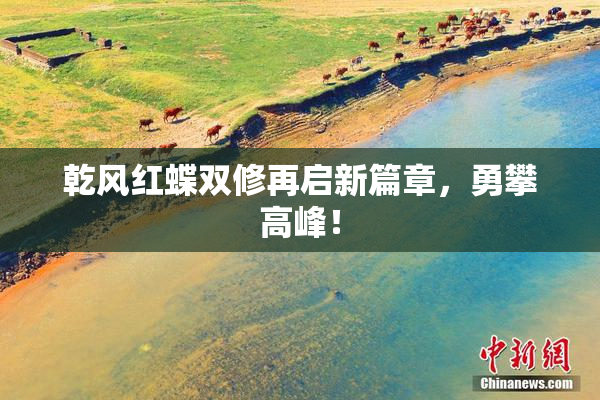 乾风红蝶双修再启新篇章，勇攀高峰！
