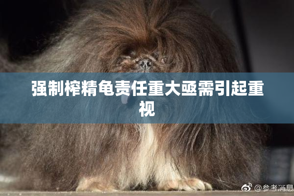 强制榨精龟责任重大亟需引起重视