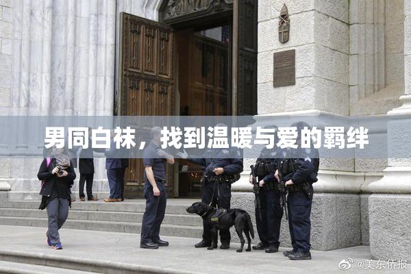 男同白袜，找到温暖与爱的羁绊