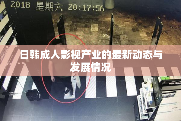 日韩成人影视产业的最新动态与发展情况