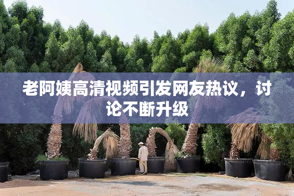 老阿姨高清视频引发网友热议，讨论不断升级