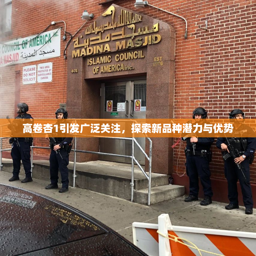 高卷杏1引发广泛关注，探索新品种潜力与优势
