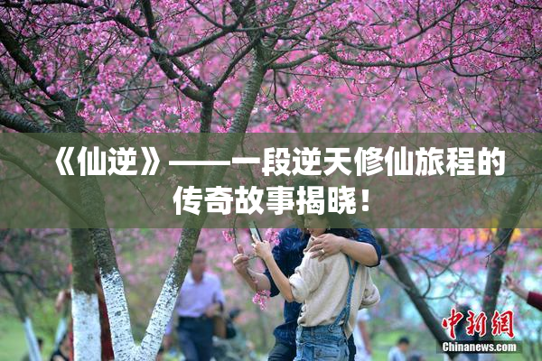 《仙逆》——一段逆天修仙旅程的传奇故事揭晓！