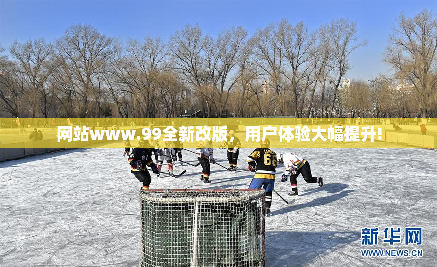 网站www.99全新改版，用户体验大幅提升!