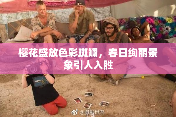 樱花盛放色彩斑斓，春日绚丽景象引人入胜