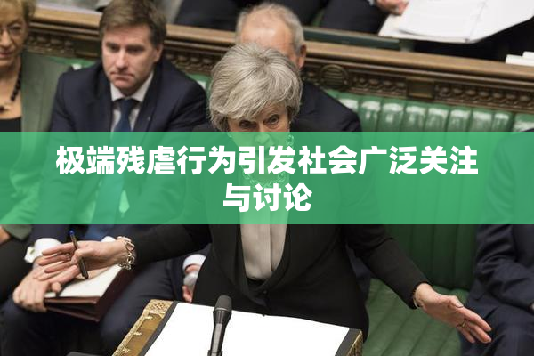 极端残虐行为引发社会广泛关注与讨论