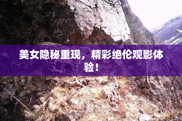 美女隐秘重现，精彩绝伦观影体验！
