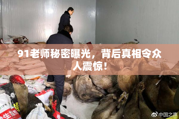 91老师秘密曝光，背后真相令众人震惊！