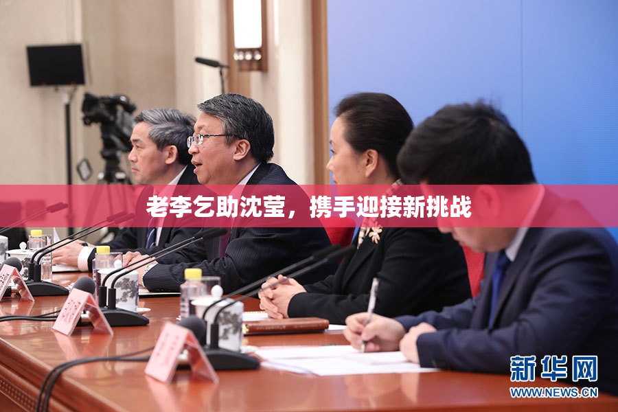 老李乞助沈莹，携手迎接新挑战