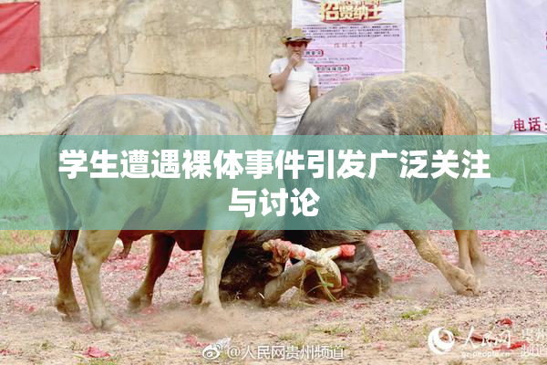学生遭遇裸体事件引发广泛关注与讨论