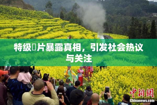 特级婬片暴露真相，引发社会热议与关注