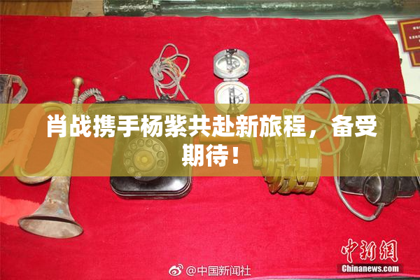 肖战携手杨紫共赴新旅程，备受期待！