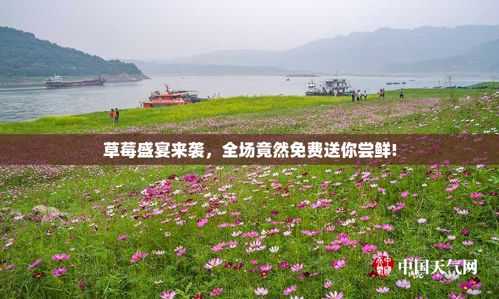草莓盛宴来袭，全场竟然免费送你尝鲜!